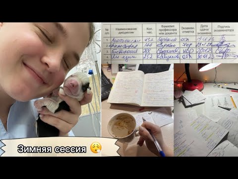 Видео: зимняя сессия в СПБГУВМ/клиника/нервы и слёзы