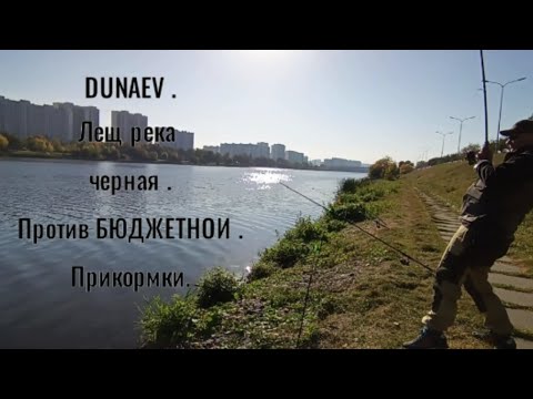 Видео: DUNAEV  . Лещ река черная против БЮДЖЕТНОЙ . #рыбалка #рыбалканафидер #лещрека