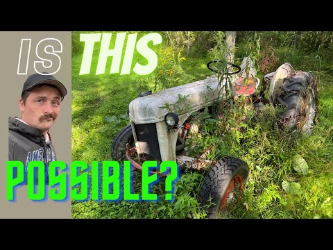 Видео: Может ли старый Ford 8n скашивать и укладывать в тюки сено?