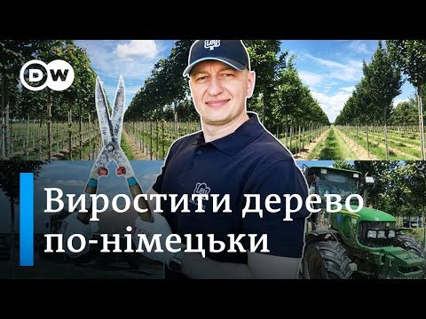 Видео: Як німці дерева вчать бути витривалими - Відкривай Німеччину з Михайлом Малим | DW Ukrainian