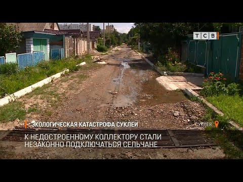 Видео: Экологическая катастрофа Суклеи