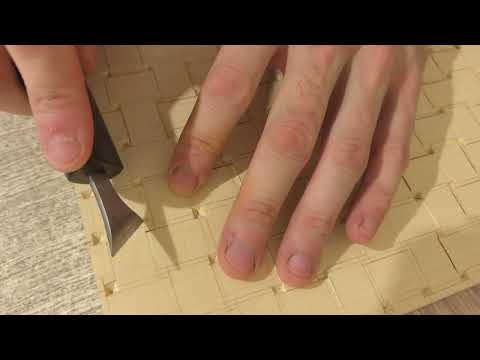 Видео: 7 ноября 2025 г.