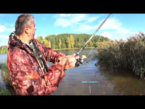 Видео: Рыбалка в Беларуси. Ловля на фидер. Что тут ловят??