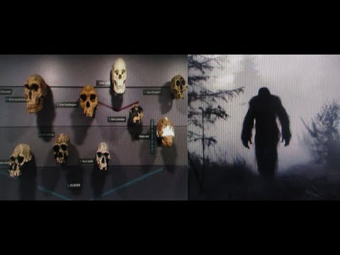 Видео: снежный человек. кольский полуостров и ещё материал.