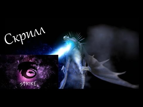 Видео: Скрилл