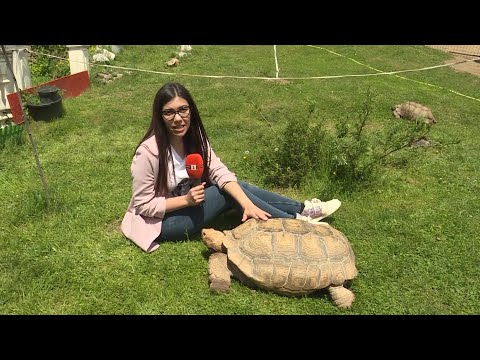 Видео: Надцакай скуката - епизод 18