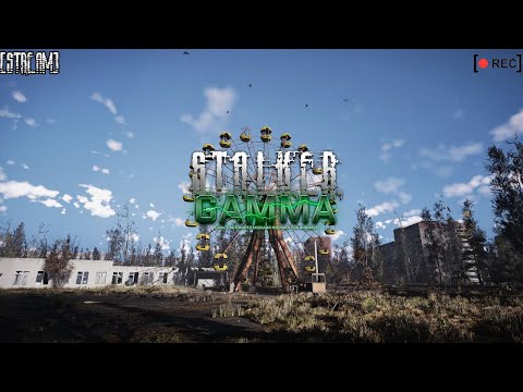 Видео: S.T.A.L.K.E.R Anomaly G.A.M.M.A Интерактив [Stream] 🎥