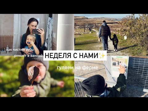 Видео: Влог мамы👦🏼Домашние будни✨Тяжелая неделя | Страусиная ферма🌳🪵