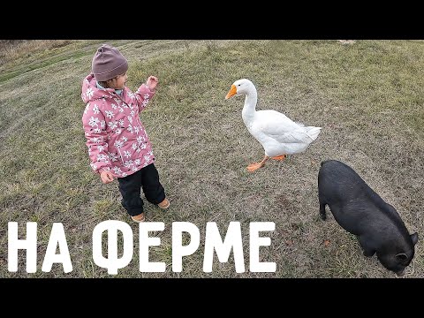 Видео: Виктория Антоновна на ферме🐐🐖🦢🐱| Viktoria on the Farm in Russia