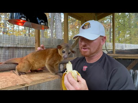 Видео: Вот Maybelline — естественная красота!