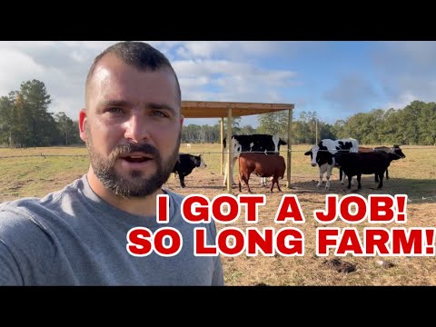 Видео: Мы ВСЕ просто пытаемся это сделать