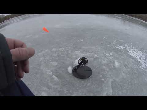 Видео: Рыбалка на жерлицы в Тульской области на одном из прудов.часть 2