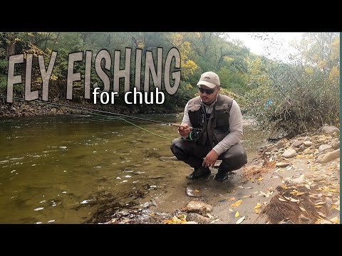 Видео: Episode 1. Риболов на кефал с муха по р. Места. /Ep. 1 Fly Fishing for Chub on Mesta river/