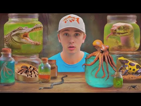 Видео: Я нашёл самых опасных зверей на тёмной стороне интернета!
