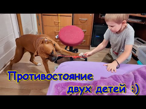 Видео: Оформляю кредит на машину. Покупки детям в Фаберлик. Учеба. (09.25г.) Семья Бровченко.