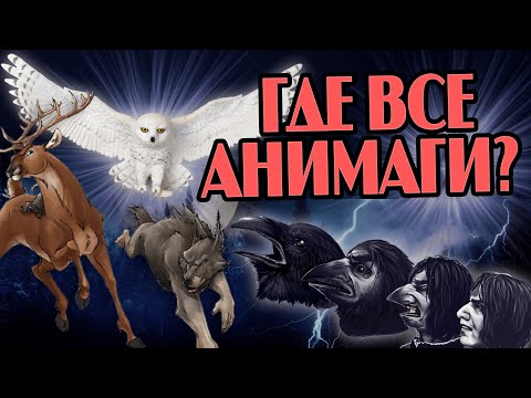 Видео: Почему в Гарри Поттере так мало Анимагов?
