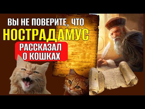 Видео: СЕКРЕТНЫЕ ЗНАНИЯ О КОШКАХ! Вы не поверите, что Нострадамус рассказал о кошках! #кот #котики #кошки