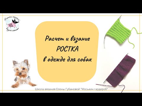 Видео: Росток.  Вязание и расчет