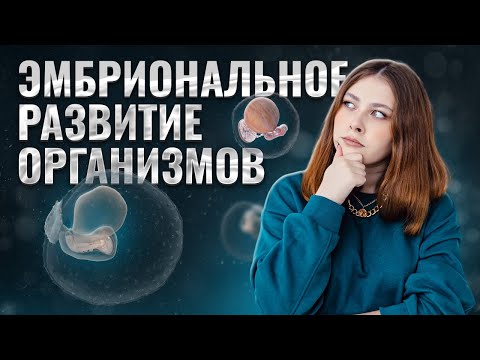 Видео: Эмбриональное развитие организмов | Биология ЕГЭ для 10 класса | Умскул