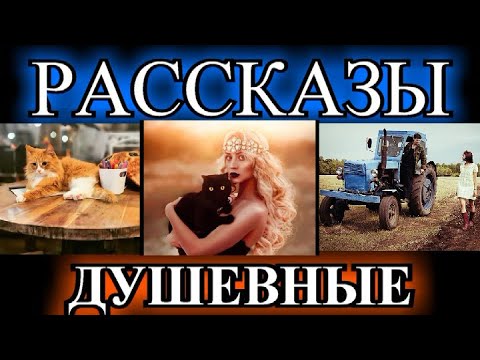 Видео: ДУШЕВНЫЕ РАССКАЗЫ❤️МОЙ МУЖИК❤️МАТЬ И МАЧЕХА❤️ХОЗЯЙКА МАРКУСА❤️ВОЛШЕБНЫЕ БОТИНКИ@TEFI РАССКАЗЫ
