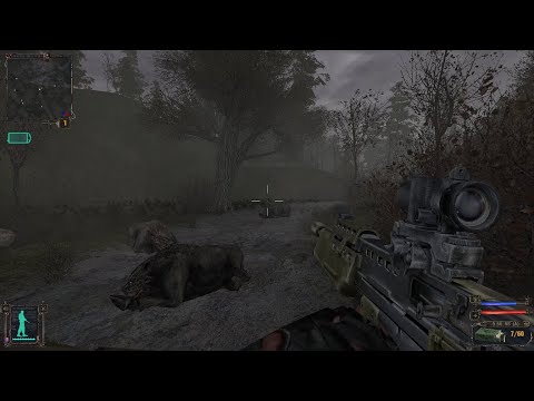 Видео: сталкер история путника загадка чёрного озера серия 1