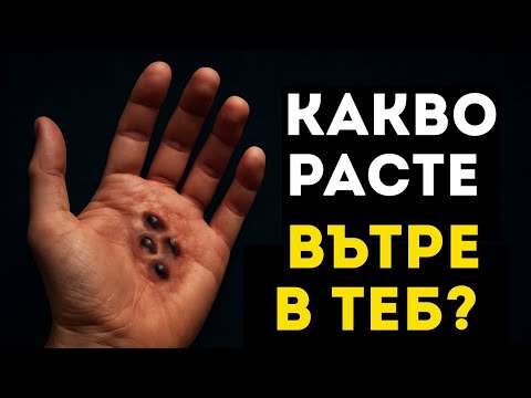 Видео: 50 УЖАСЯВАЩИ ФАКТА, КОИТО ВСЪЩНОСТ СА ИСТИНА 😱