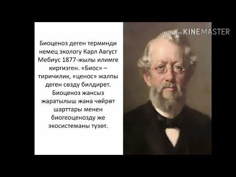 Видео: Биология 9-класс | Сабактын темасы: Биоценоз организмдердин табигый биргелештиги