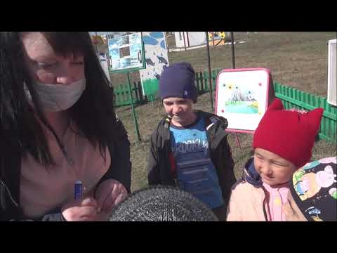 Видео: Организация прогулки в ДОУ