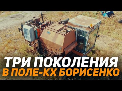 Видео: Три поколения в поле! КХ "Борисенко". Хозяйства Казахстана.