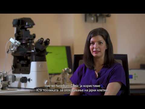 Видео: ▶️ШТО Е ИН ВИТРО ОПЛОДУВАЊЕ?▶️КОЛКУ ЕМБРИОНИ СЕ ВРАЌААТ ПРИ ТРАНСФЕР?