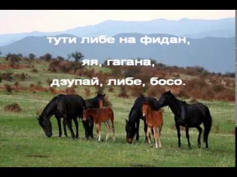 Видео: Чичовите конье   нар    инструментал