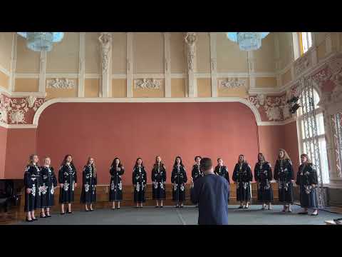 Видео: Олександр Некрасов "Розкопаю я гору"