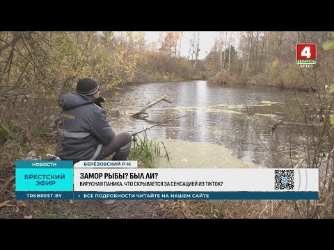 Видео: ЗАМОР РЫБЫ? БЫЛ ЛИ?