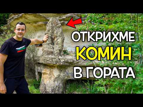 Видео: Как се ВКАМЕНЯВА цяла гора?