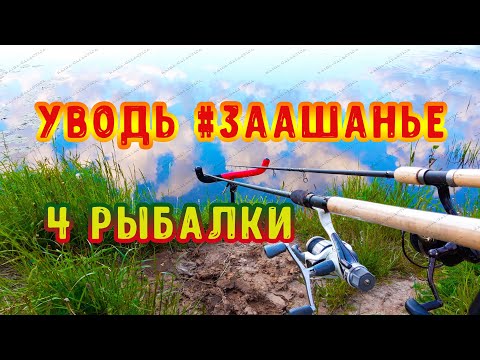 Видео: Река Уводь #ЗААШАНЬЕ. Видео с четырех рыбалок. Рыбалка 2020.