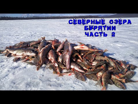 Видео: Север Бурятии(ч.2),о.Аян. Рыбалка на хапуги. Быт рыбака