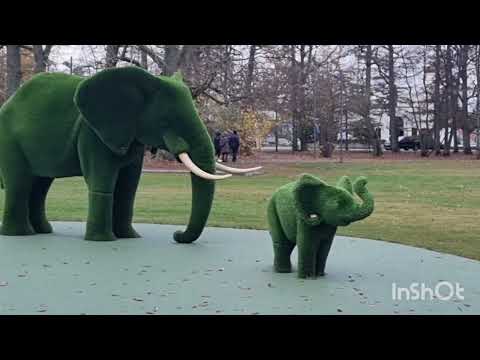 Видео: ПЯРНУ #Pērnava (igauņu: Pärnu)  день первый 🙂