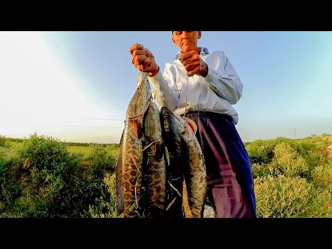 Видео: ӘКЕММЕН КЕШКЕ БАЛЫҚ АУЛАДЫҚ