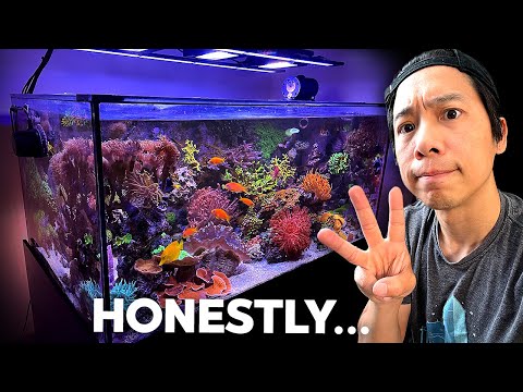 Видео: 135 г «Смешанный риф»: ВСЕ мои ЛЮБИМЫЕ кораллы! (Полное пошаговое руководство)