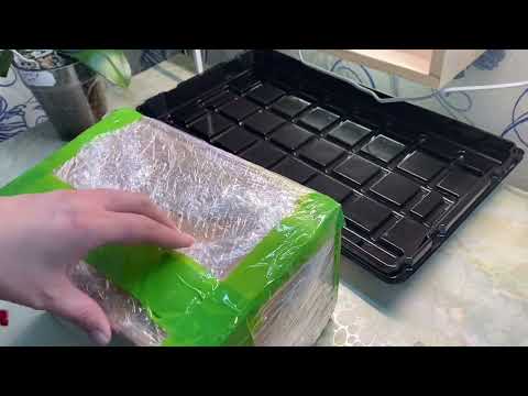 Видео: Полный дом Хищников 😄 # 99