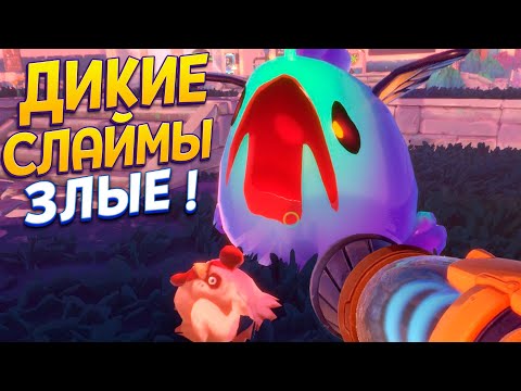 Видео: ДИКИЕ СЛАЙМЫ ( Slime Rancher 2 )