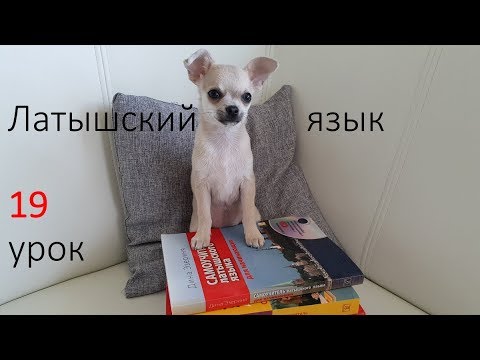 Видео: 19 урок со Стеллой