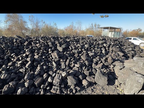 Видео: 7 ноября 2025 г. ДАХШАТ КУМИР НАРХЛАРИ АРЗОНЛАДИ ТЕЗ КУРИНГ 