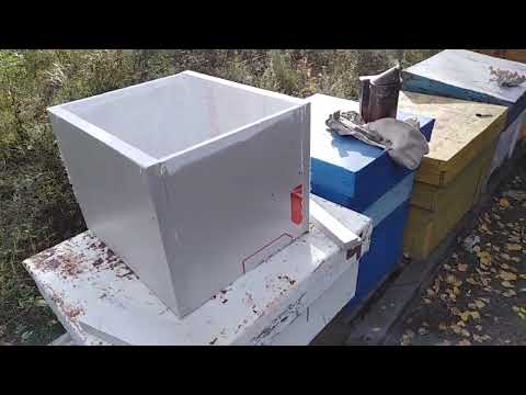 Видео: Стакан из эппс на 10 рамок для 16 рамочного дадана