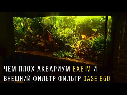 Видео: Аквариум EHEIM 400  и внешний фильтр Oase 850 сплошные разочарования! Заменил светильник Chihiros на