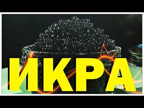 Видео: Галилео | Икра 🐟 [Caviar]