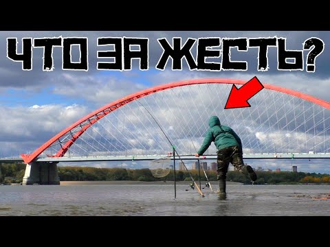 Видео: ТАКОЙ ЖОР БЫВАЕТ РЕДКО!!! Поставил донки под МОСТОМ и КЛЮЁТ ЖЕСТЬ! Рыбалка 2024