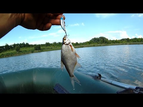 Видео: Спортивная рыба на TsuYoki Focus 50S.