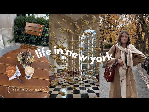 Видео: Осень в Верхнем Ист-Сайде | Листва Центрального парка, обязательные к просмотру художественные вы...