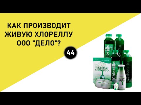 Видео: КАК ПРОИЗВОДИТ ЖИВУЮ ХЛОРЕЛЛУ ООО «ДЕЛО»?